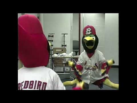 Fredbird