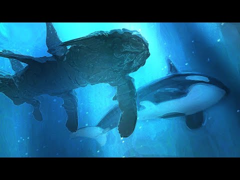 Wie konnte ein Krebstier so groß wie ein Wal werden?