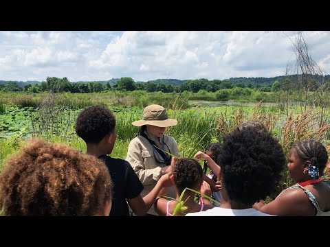 Environment Matters - Wonders of Water Camp