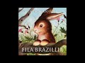 Fila Brazillia - Apehorn Concerto