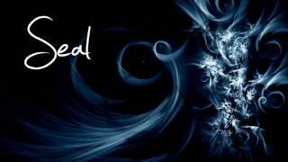 Seal - The Right Life