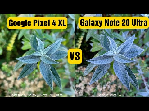 Samsung Galaxy Note 20 Ultra VS Google Pixel 4 XL - Camera Comparison