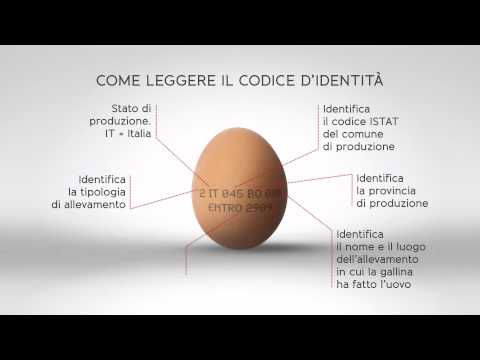 Anticorpi a totale lyambliya il prezzo Farmaci per parassiti della pelle
