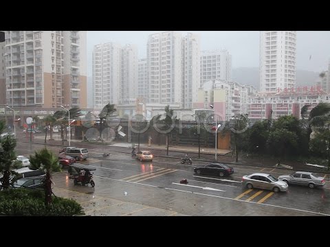 Hurricane Flying Debris Extreme Strong Winds. Stock Footage