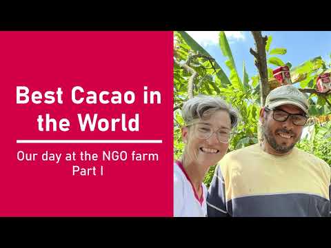 Visiting one of the NGO's Small Cacao Farms in Ecuador 🍫🦋🍃