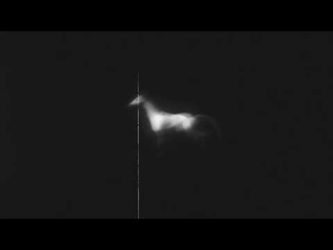 Video thumbnail for Silvitni
