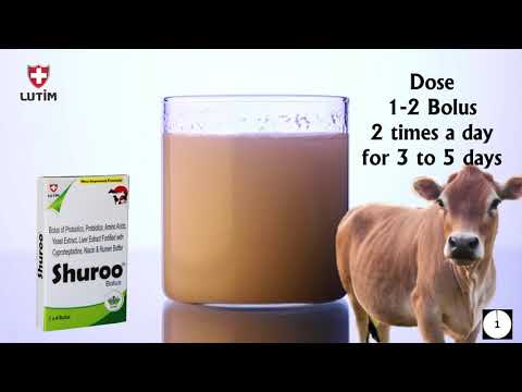 Shuroo Bolus with new improved formula by Lutim Pharma