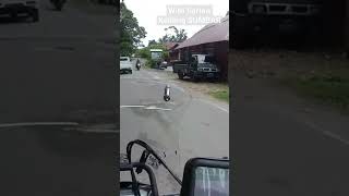 Download lagu Keliling Lembah Harau - Tarantang kec Harau - 50 Kota - Perjalanan di Ranah Minang - Keliling SUMBAR mp3 Download lagu Keliling Lembah Harau - Tarantang kec Harau - 50 Kota - Perjalanan di Ranah Minang - Keliling SUMBAR mp3