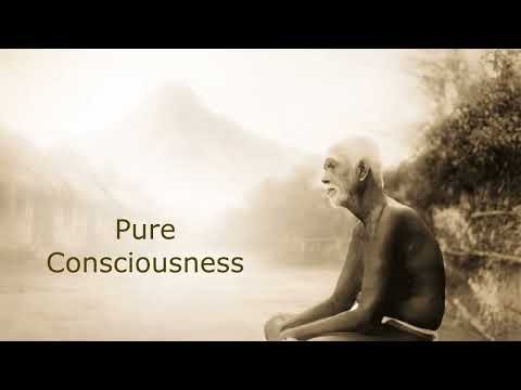 Sri Ramana Maharshi ~ Pure Consciousness