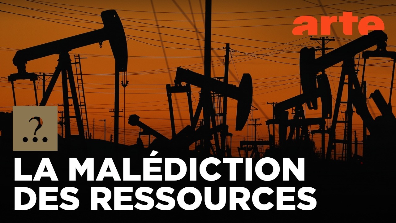 Est-il vrai que les matières premières enrichissent les pays ? | Est-il vrai que...? | ARTE