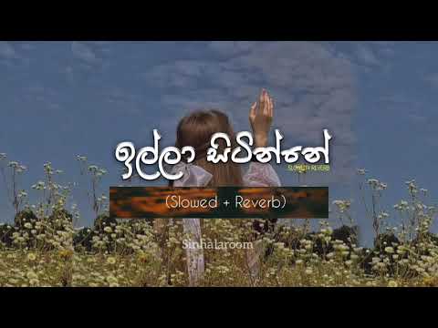 Illa Sitinne - ඉල්ලා සිටින්නේ  (Slowed+Reverb)