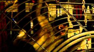 Mickey the monkey eats icecream