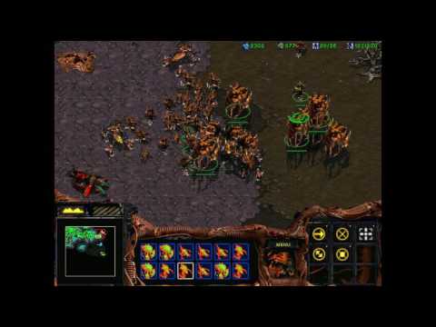 StarCraft 1: Rise of Devours Children 06 - Insurrection