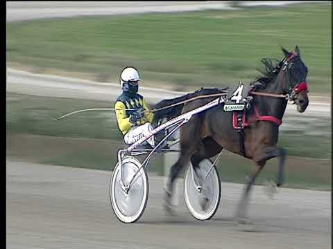 Trotto 10/12/2017 - 1ª corsa