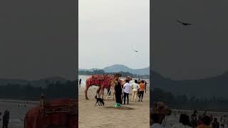 Download lagu Beach guess it #campursari #cover #coversong #beach #musicgenre #travel #musicsong #love mp3