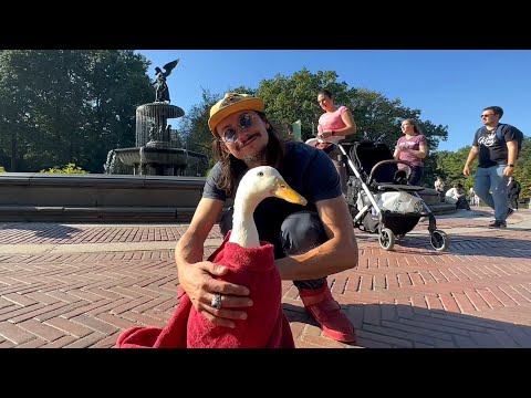 I took my duck to Central Park