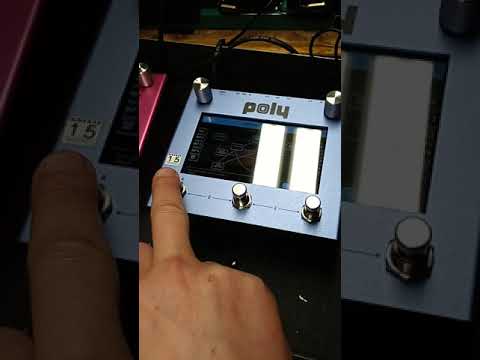 Poly Digit, Poly Beebo, GFI Synesthesia, EHX SuperEgo+