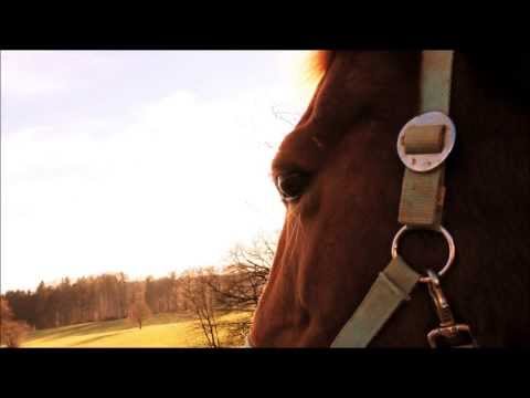 Ben Cocks - So Cold Sarah und Medina