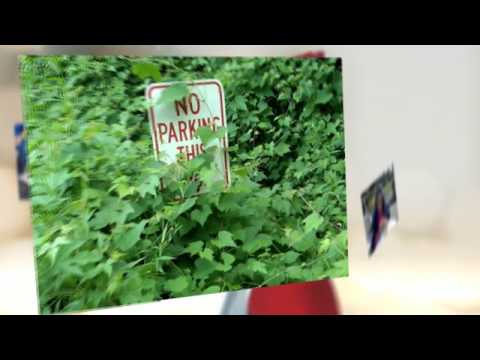 CP Georgia On My Mind
