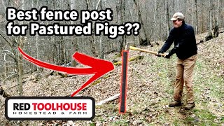 Which fence post is the BEST for pasturing pigs?