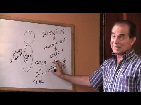 Episodio # 583 La Creatinina ¿Qué hago con ella?