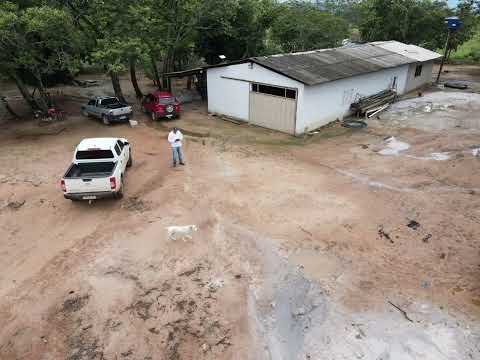 Faz.293 alq.valor 7.milhães no Tocantins Município de Dianopolis escriturada chama  zap.91982165639 