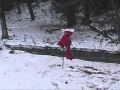 Elmo S Execution Day