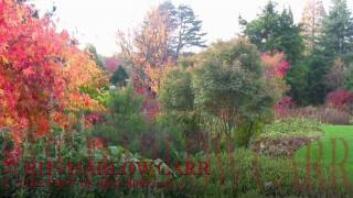 preview picture of video 'Harrogate Harlow Carr Gardens  Part Eight  1st November 2010 ,'