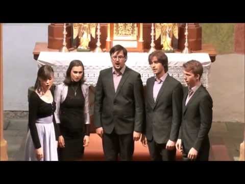 M'ha punt amor (Giaches de Wert) - INGENIUM ENSEMBLE