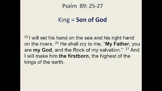 Video: Sons of God in the Bible - Bill Schlegel