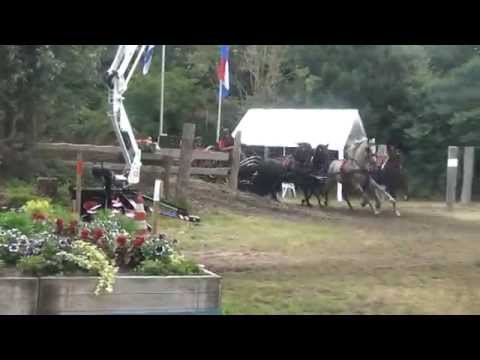 Anne Okkema ( H 10 ) Driezum/Wouterswoude 2015