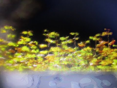 Mùa thu nơi đây - Châu Thùy Dương