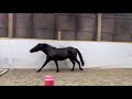 Nuage du Lierre-PFS-3ans