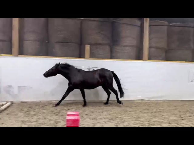 Nuage du Lierre-PFS-3ans