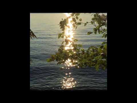 SyeMox - อยากไป (Prod. Yusei)