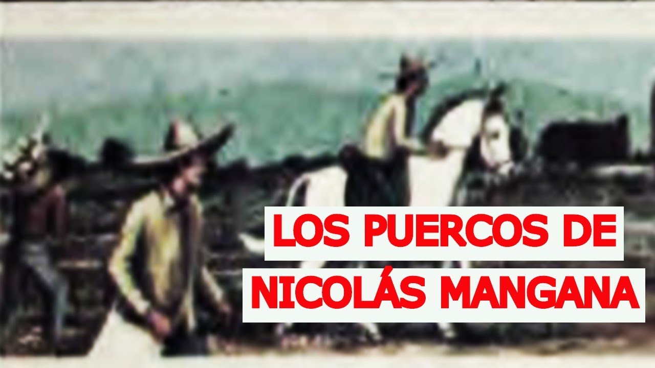 CUENTOS MEXICANOS. Los puercos de Nicolás Mangana