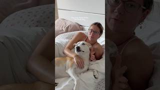 Yuki flew out of bed when I said “park”👀🐶😂#dogmom #vlog #dog #pets #dogshorts #beach #summer
