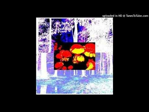 matiskater x kvbe - grzybki