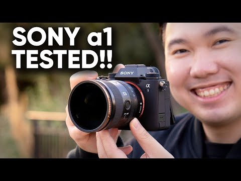 Sony a1 - Most Fun I've Had in Awhile! | Initial Review 50MP 30FPS 8K