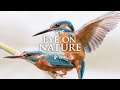 RTÉ Eye On Nature Returns