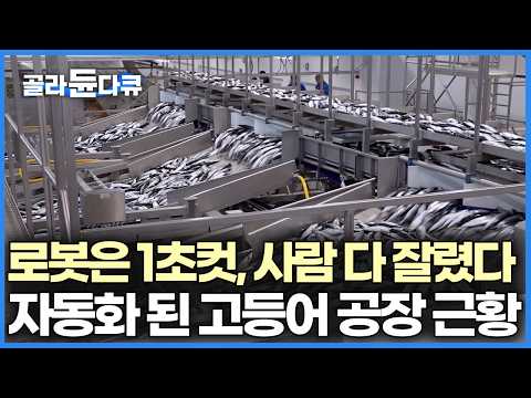 Large-scale mackerel factory with no people: Robots remove all bones in 1 second, taking only 30 ...