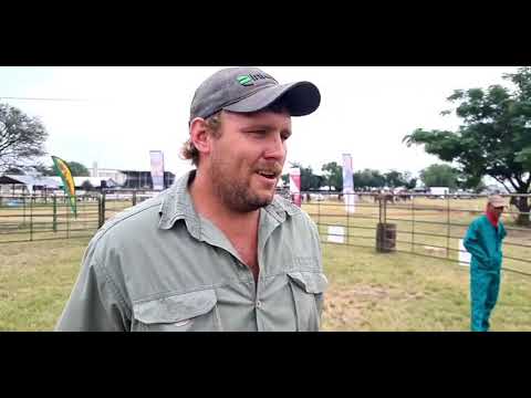 Jimmy Roberts van Brangus SA by Hertzogville Landboufees 2022
