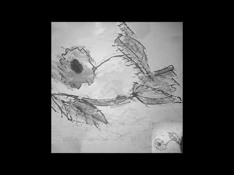 03. europe & rogergoon - safer [06.02.2019]