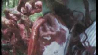 Zombie Cult Massacre...Trailer