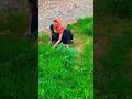 Mahant K Dum Pe Honge ️ Shorts Meenu Trending Youtube