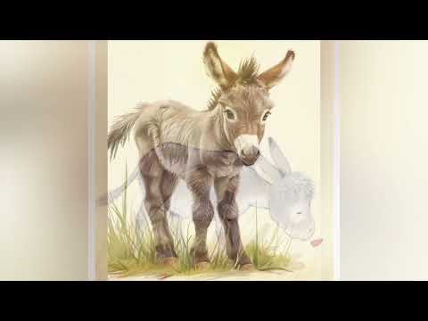 PLATERO Y YO de Juan Ramón Jiménez
