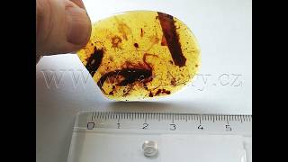 Druhohorní jantar z Myanmaru JHI-6