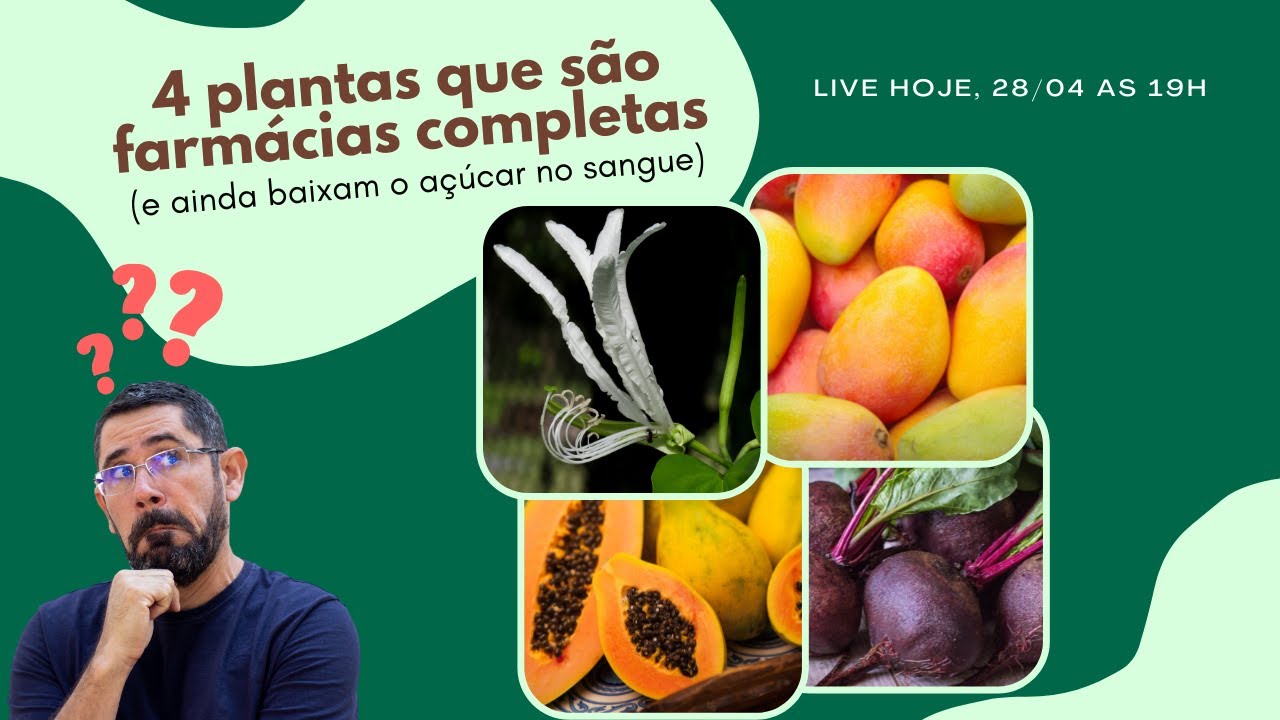 Plantas medicinais: Site Autor da Própria Saúde ensina como se cuidar usando plantas e ervas medicinais