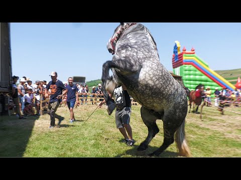 Parada cailor Ceanu Mare - Cluj 15 Iulie 2023