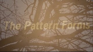 The Pattern Forms - The Sacrifice